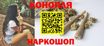 СК Будённовск