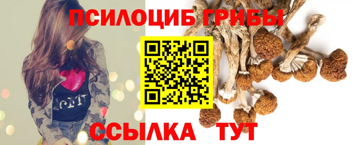Псилоцибиновые грибы Psilocybine cubensis Лиски