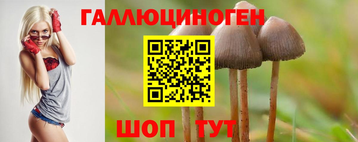 Галлюциногенные грибы Magic Shrooms  Вход с VPN  Лиски 